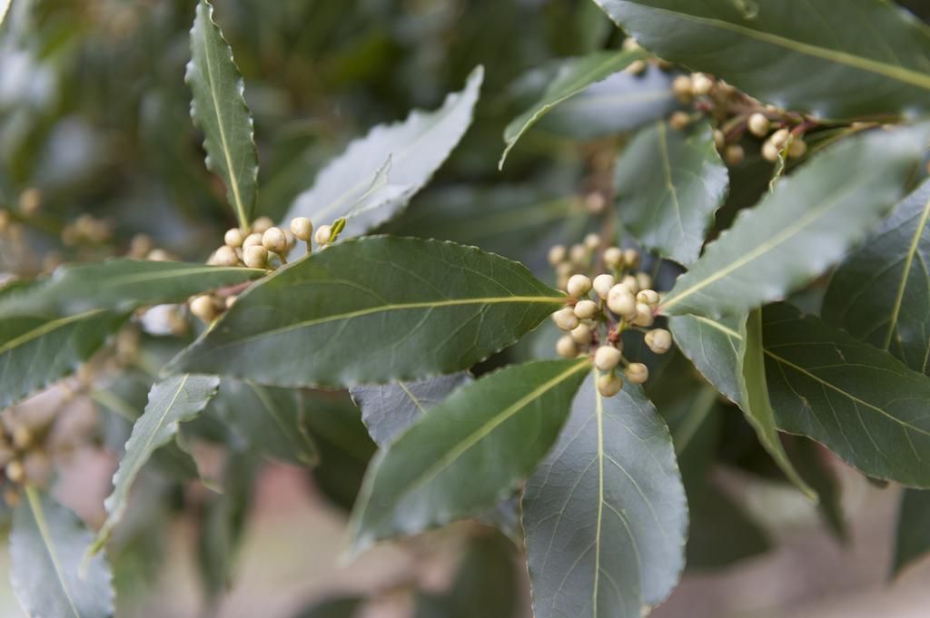 Bay Tree Broadstairs Ξενοδοχείο Εξωτερικό φωτογραφία